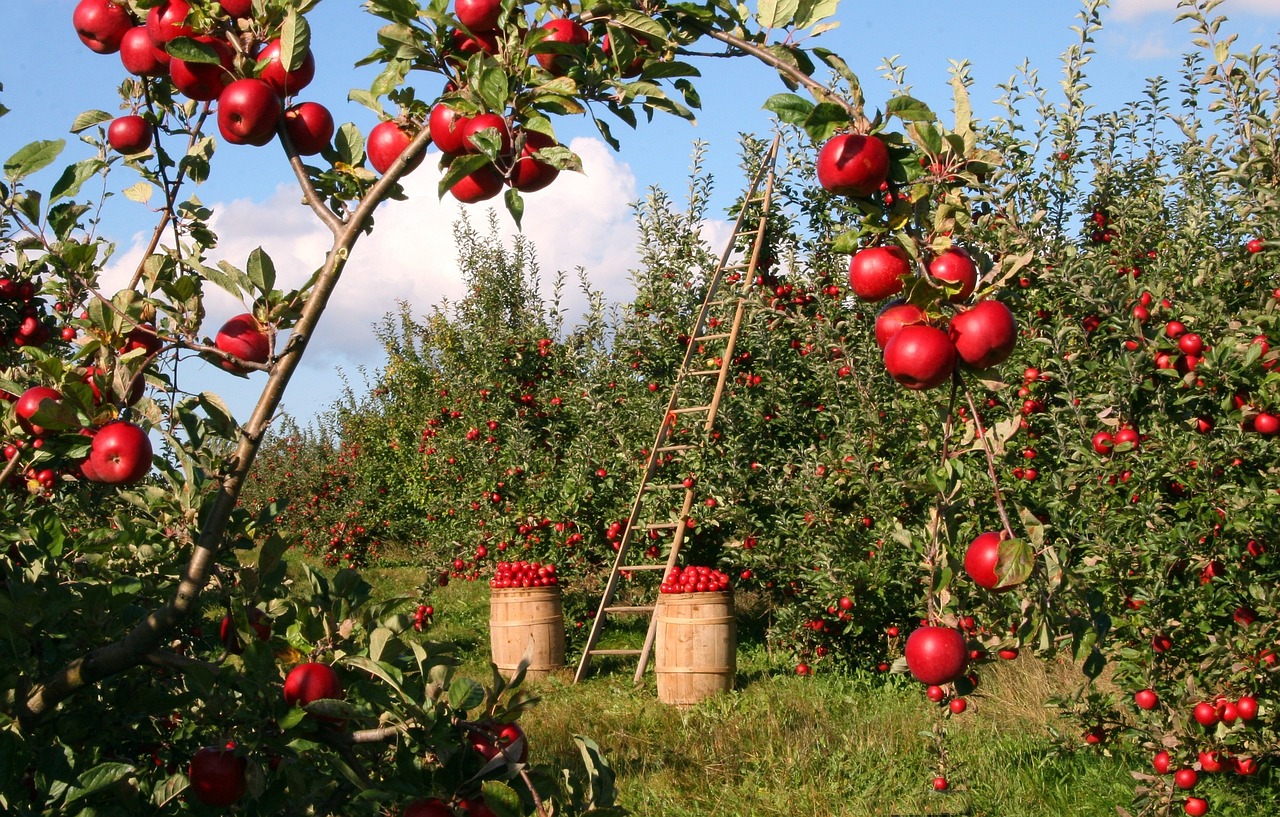 Sustainable Tourism in Italy’s Siena